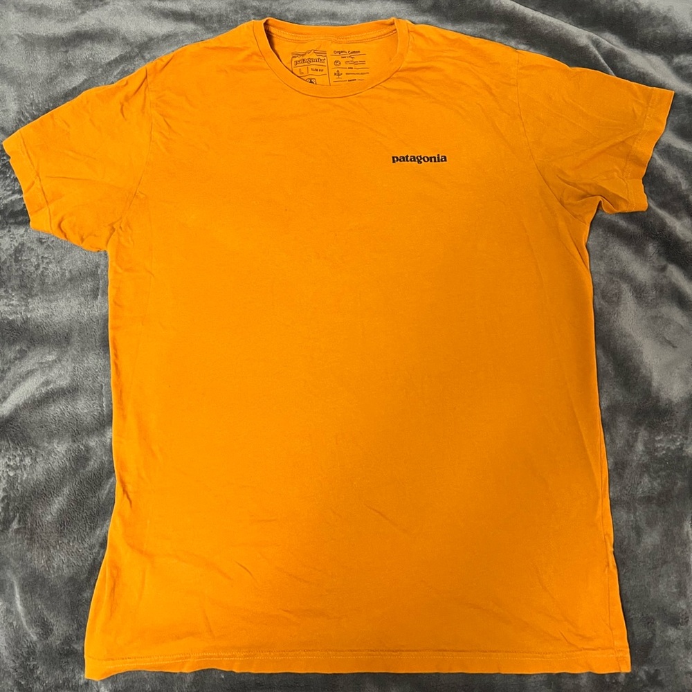 Patagonia slim fit tee